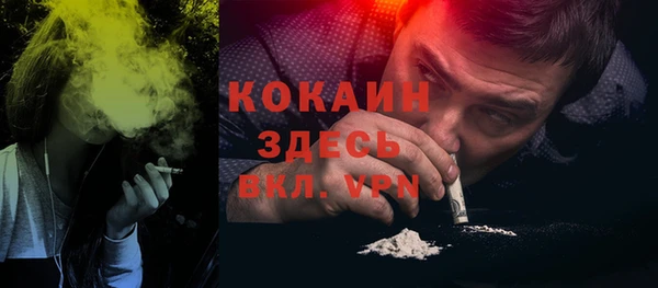индика Богородицк