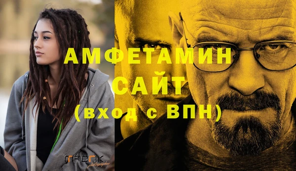 индика Богородицк