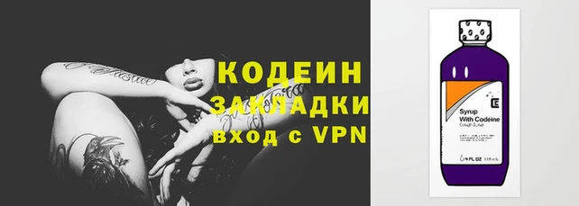 индика Богородицк