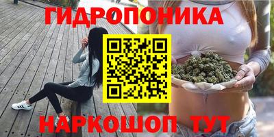 бошки Шебекино