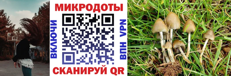 наркота  Реж  Галлюциногенные грибы ЛСД 